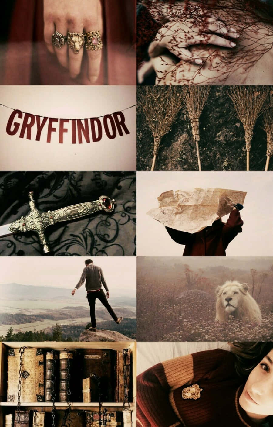 Un fundal de ecran estetic Harry Potter Fundal
