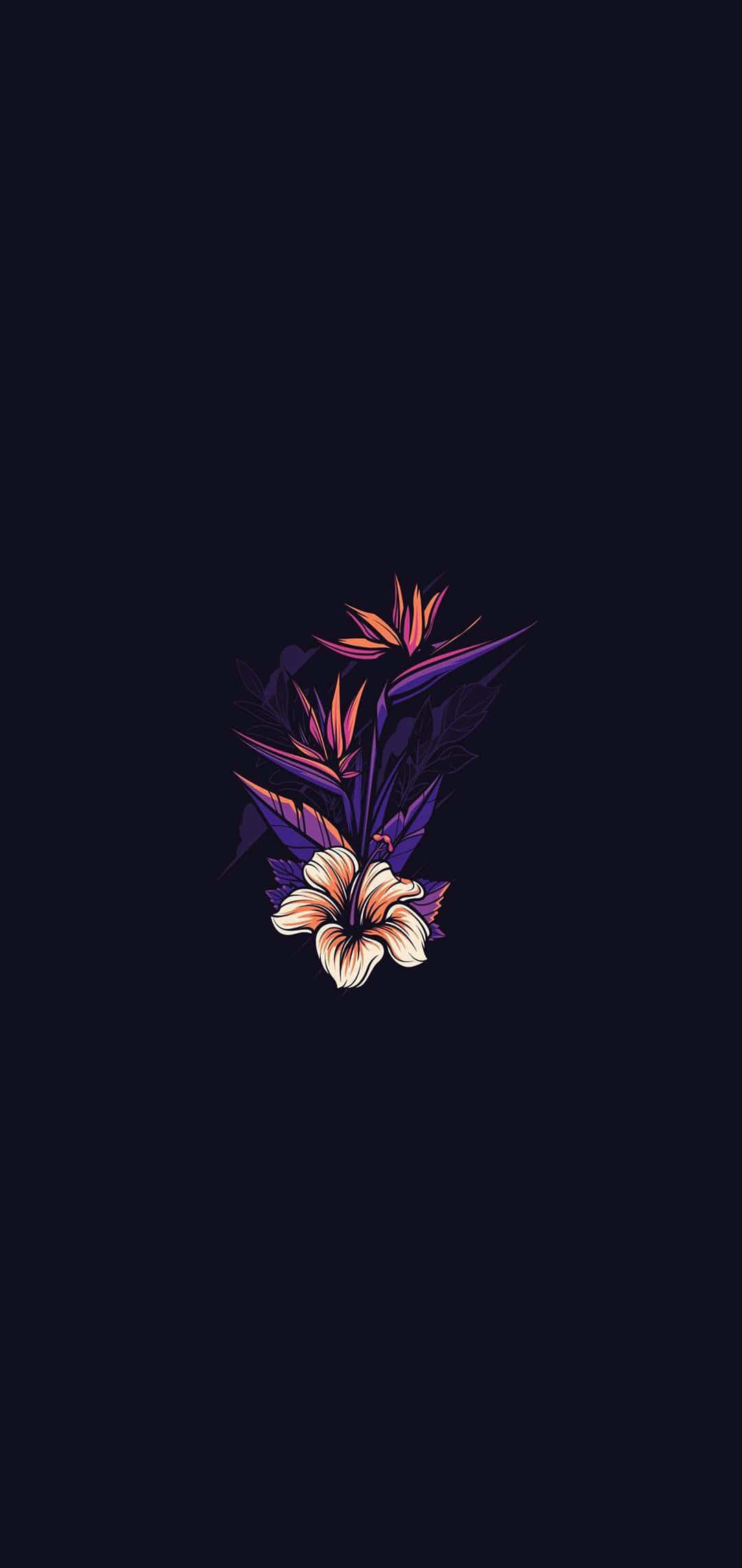 un fundal negru cu o floare violet pe el Fundal