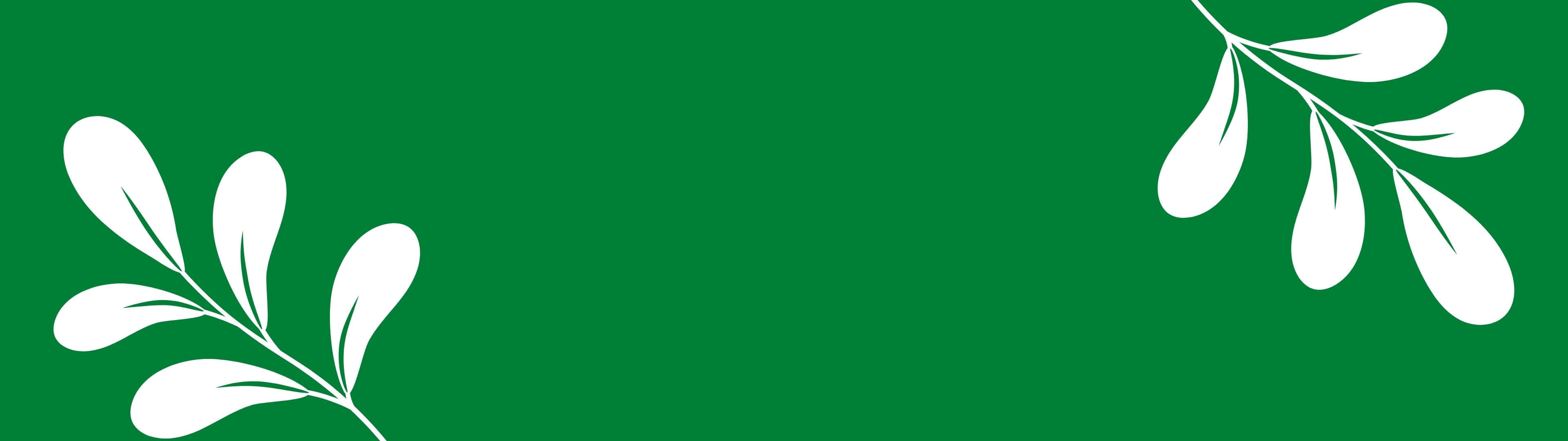 un fundal verde cu frunze albe pe el Fundal