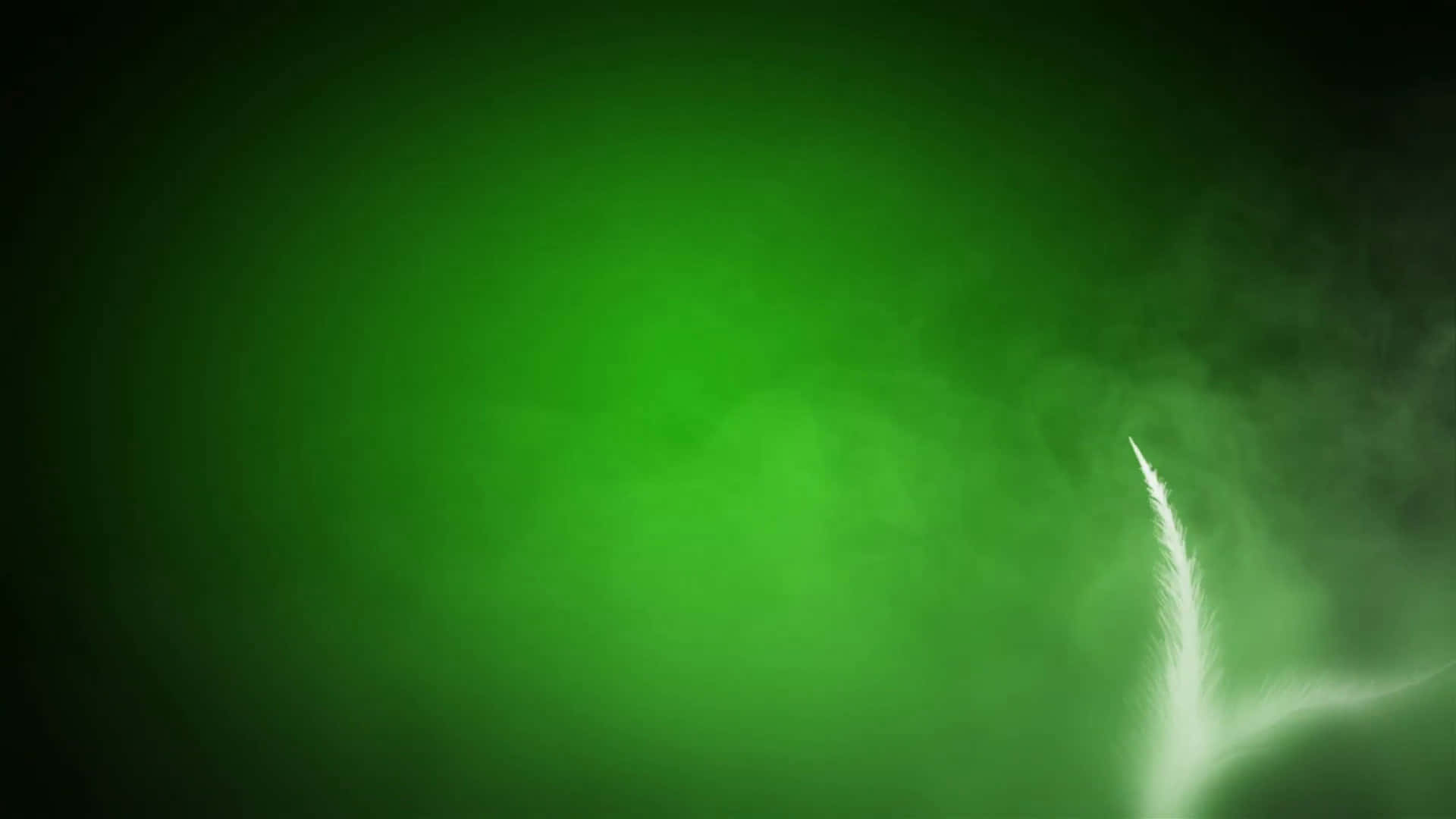 Un fundal verde închis, profund și bogat. Fundal