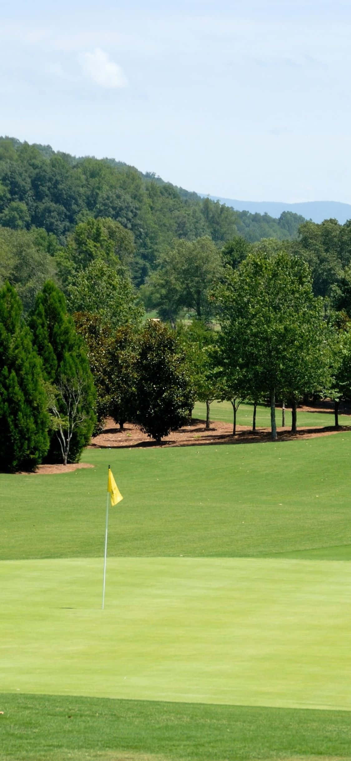 Un golfist lovind pe un fundal idilic de dealuri aurii ondulate ale unui teren de golf. Fundal