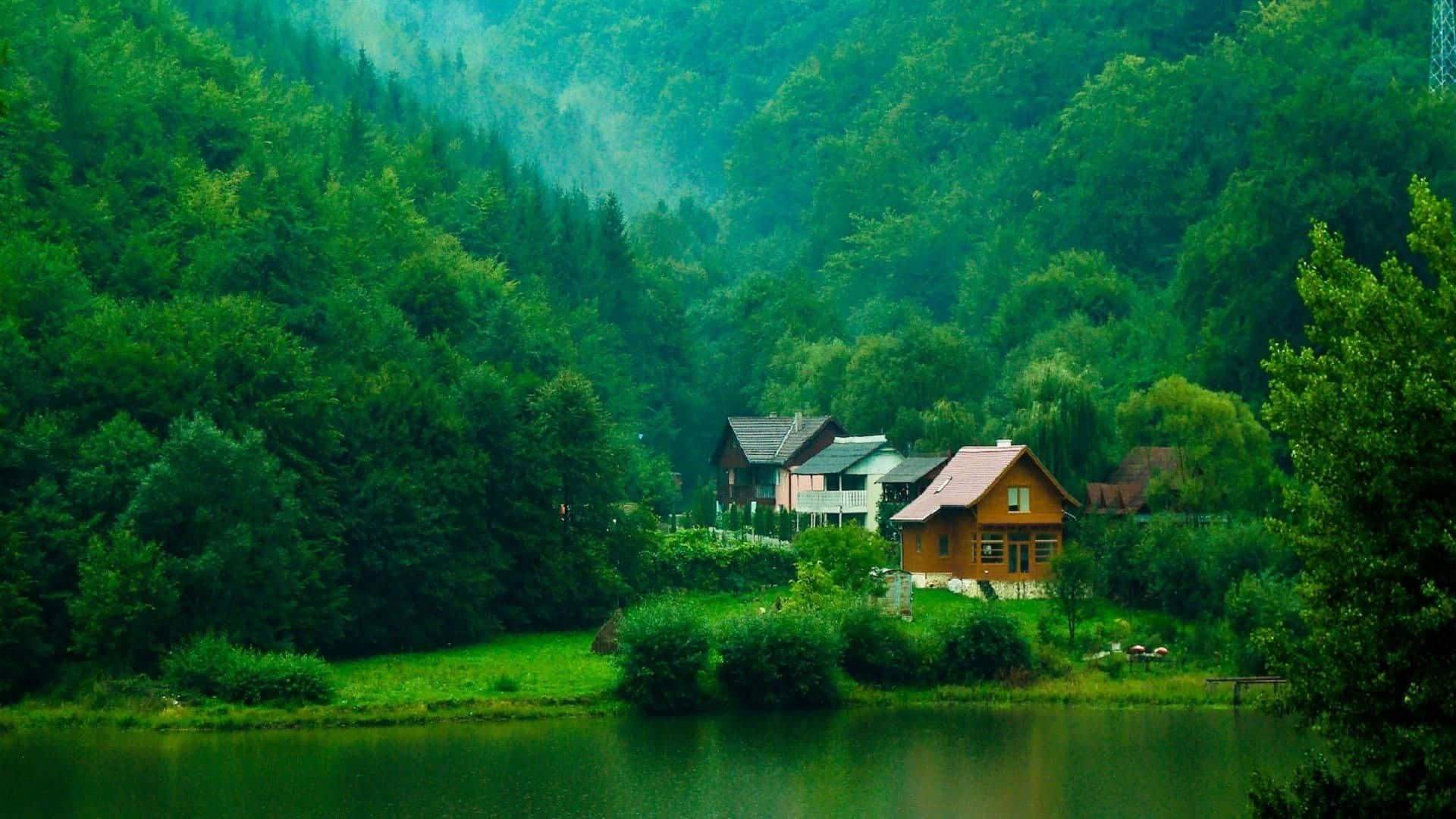 un lac cu case și copaci în fundal