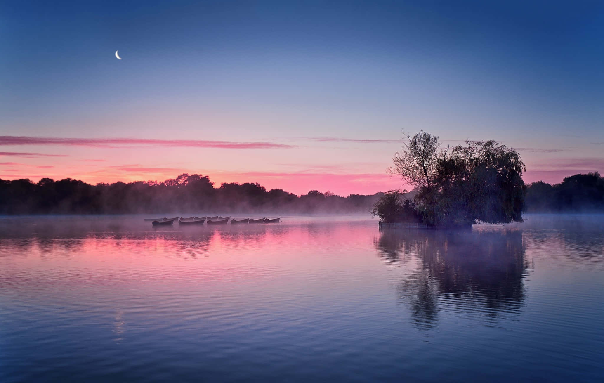 un lac cu lună și copaci în fundal