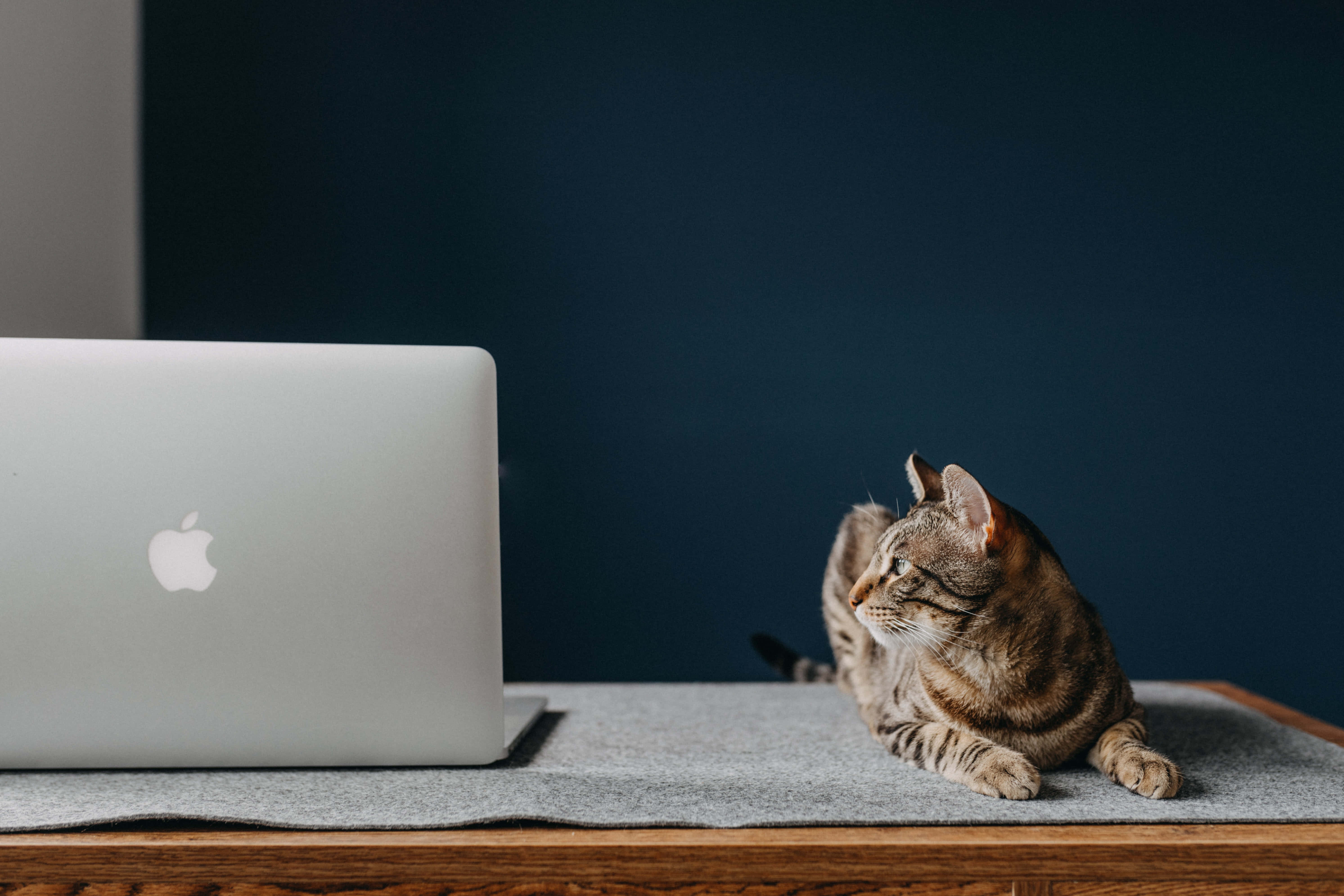 Un laptop Macbook clasic cu un aspect minimalist Fundal