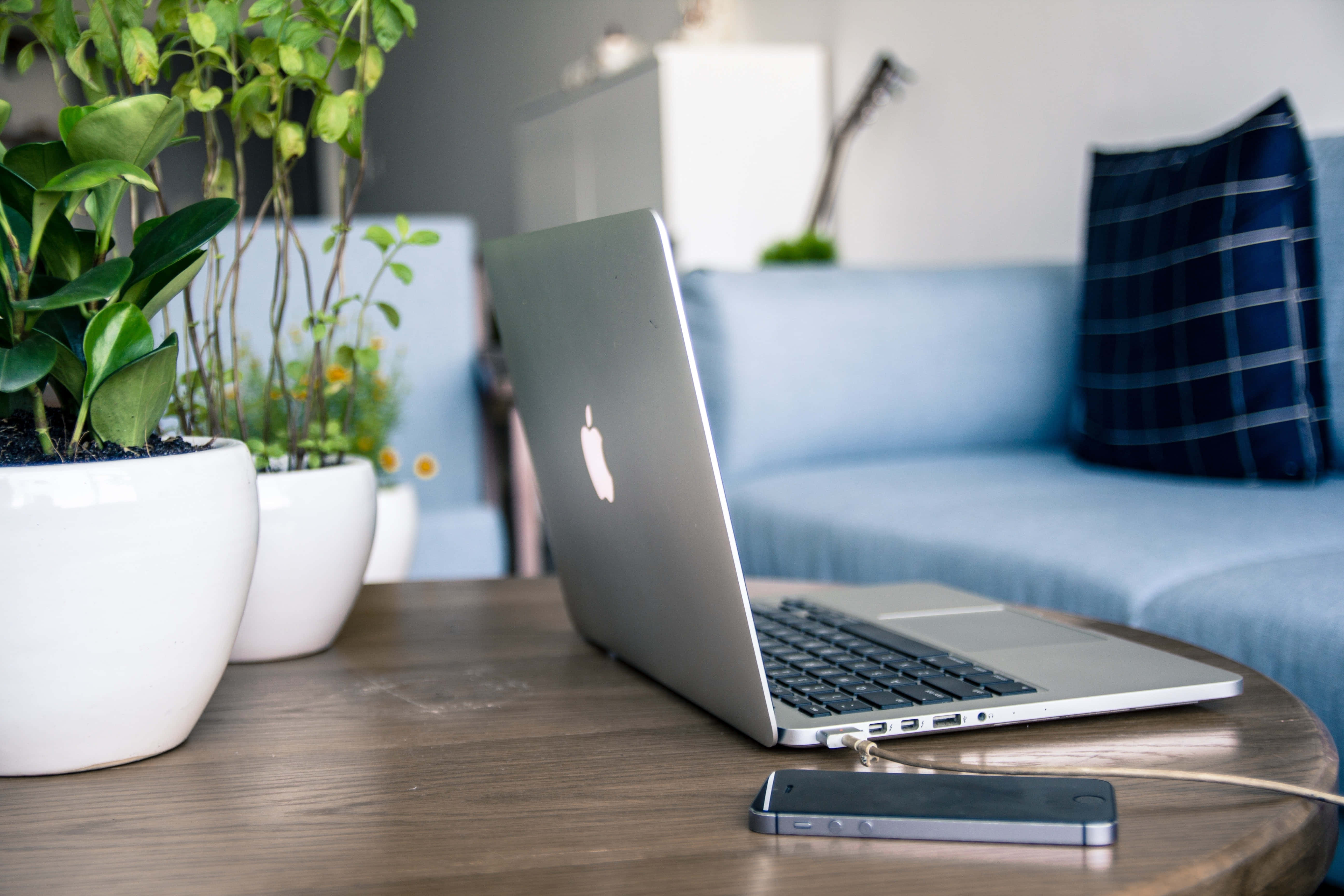 un laptop pe o masă lângă o plantă Fundal