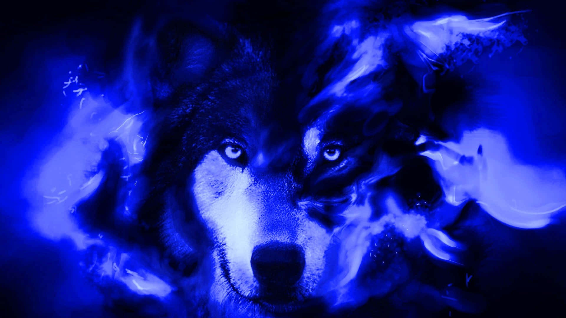 Un lup cool înconjurat de lumina lunii Fundal