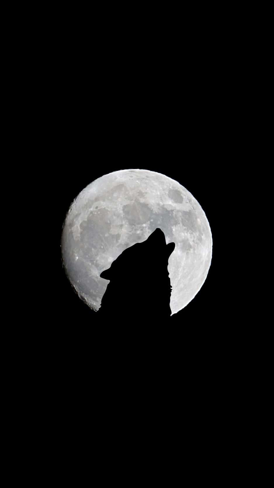 un lup urlând la lună Fundal