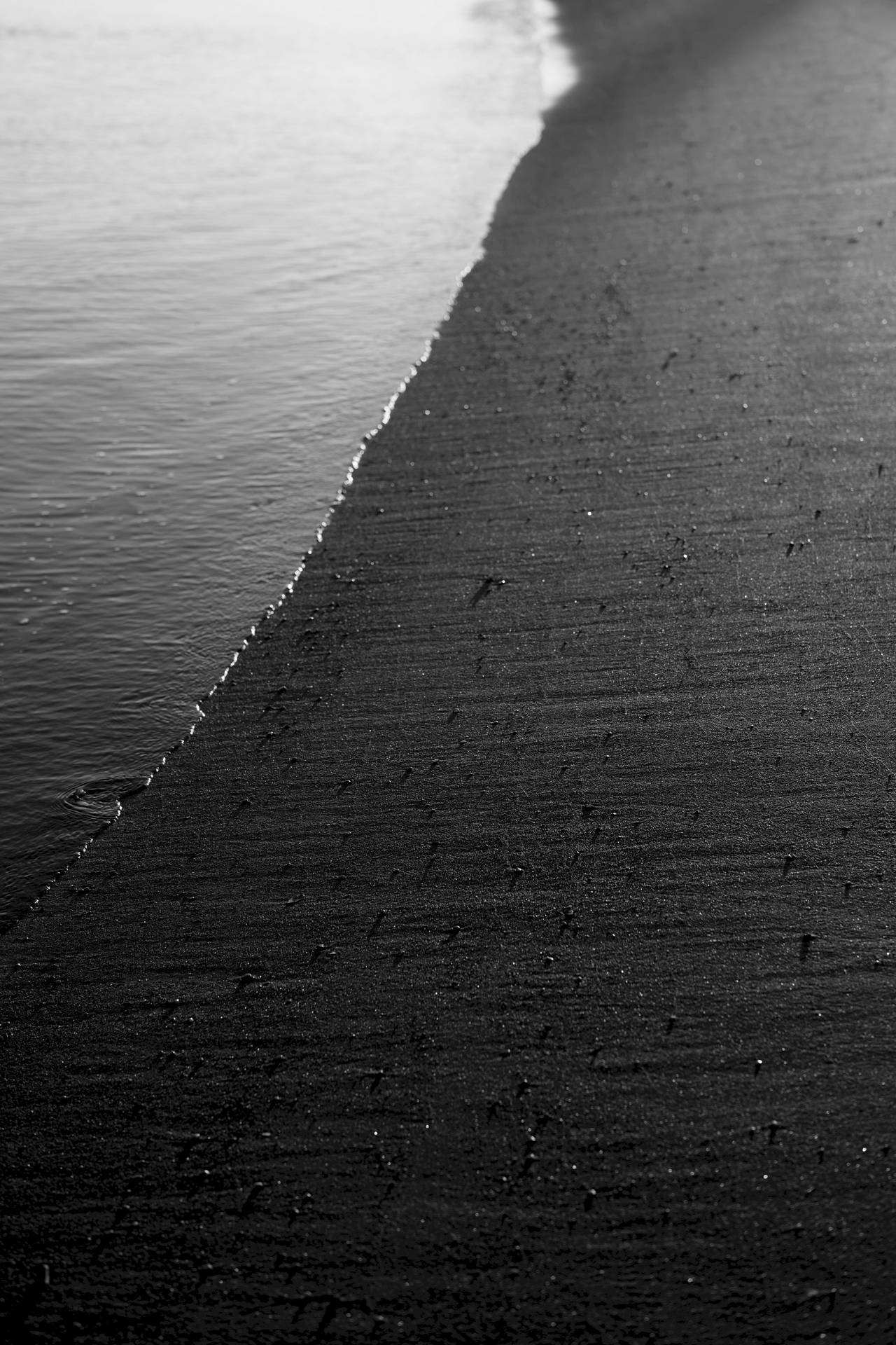 Ocean și țărm alb-negru cu nisip gri. — Ocean Fundal