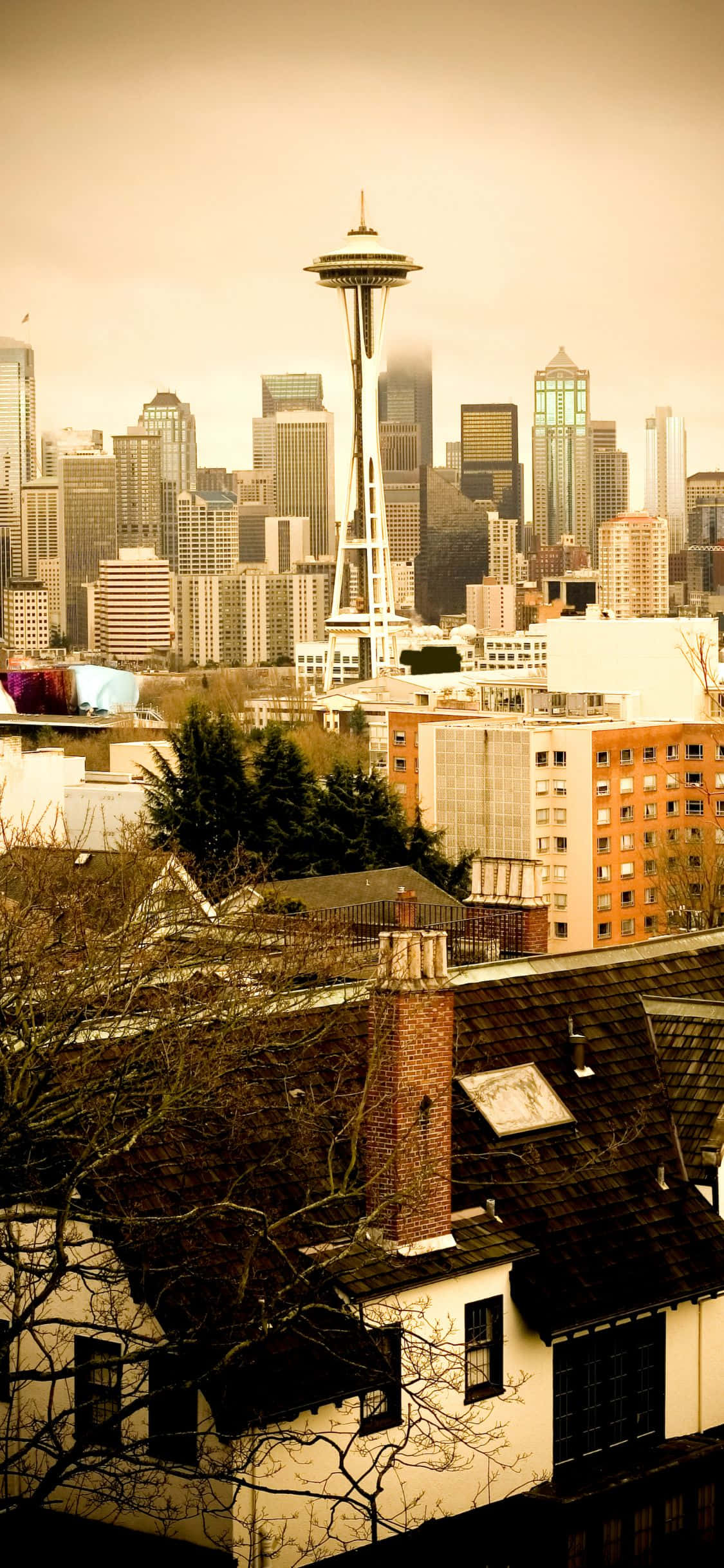 un oraș cu un Space Needle Fundal