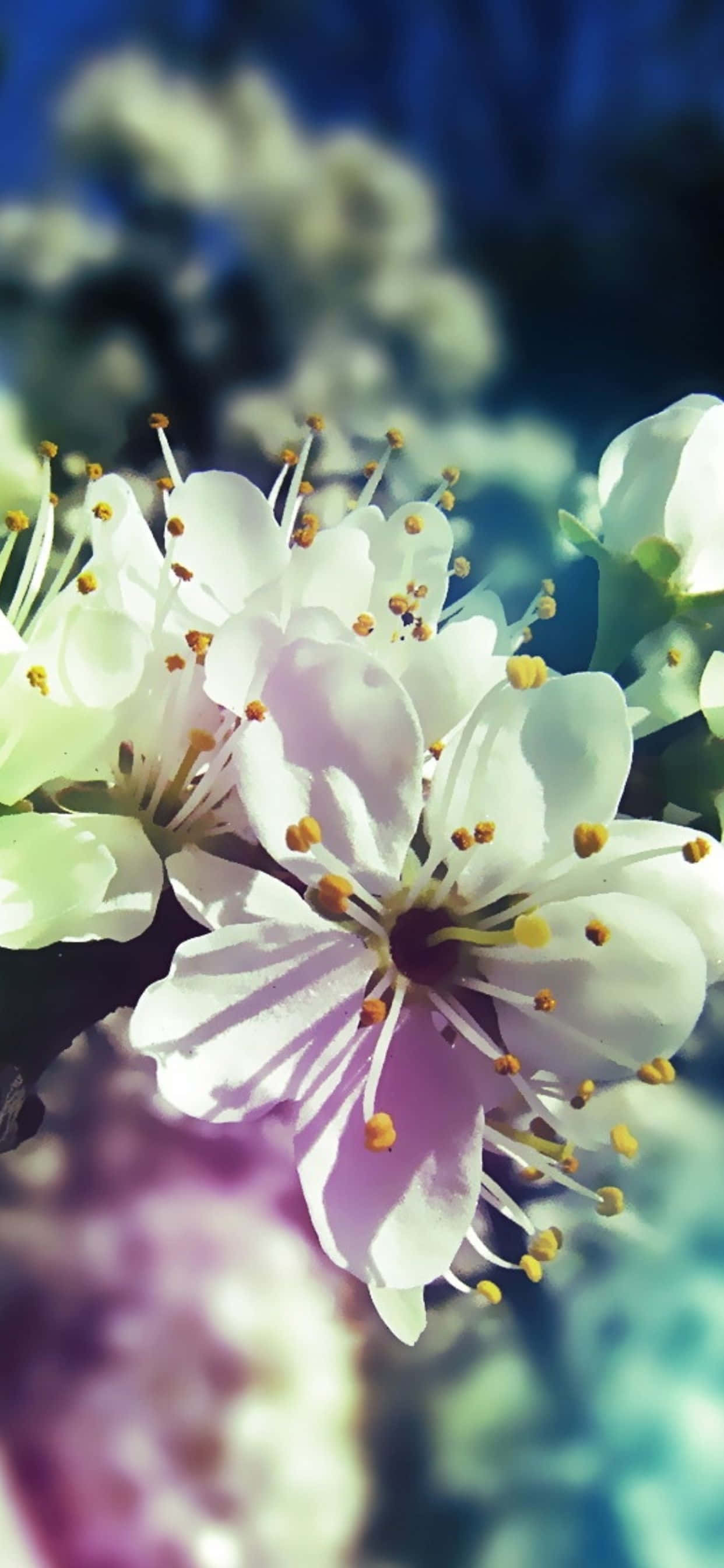 Un peisaj vibrant de primăvară pentru Pixel 3 Fundal