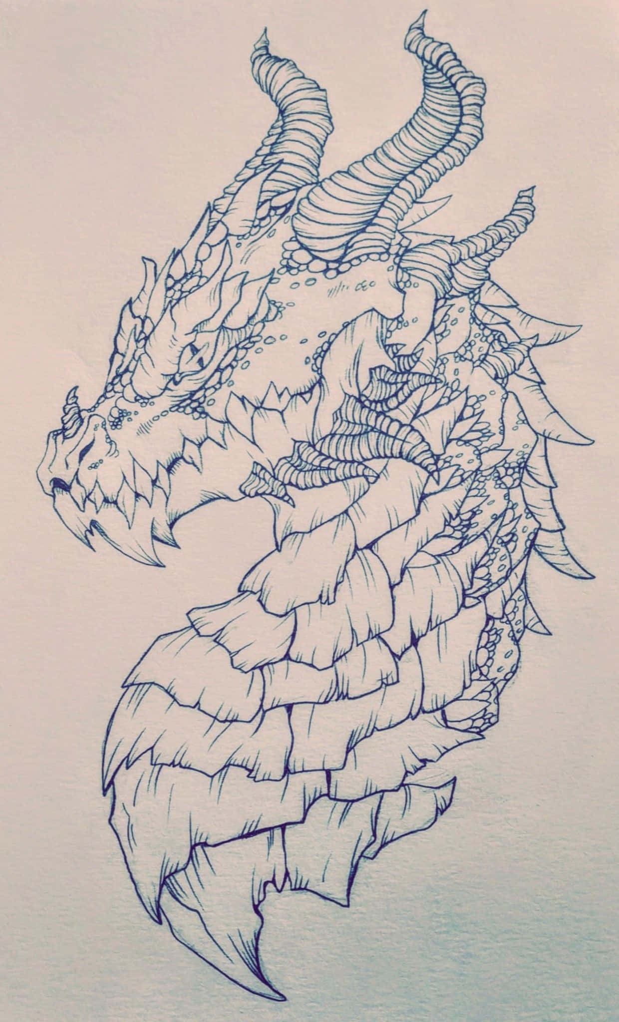 Un profil majestuos de dragon. Fundal