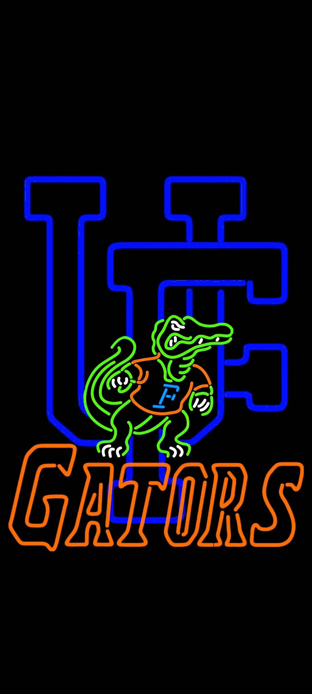 University Of Florida Gators Lumini Neon Fundal