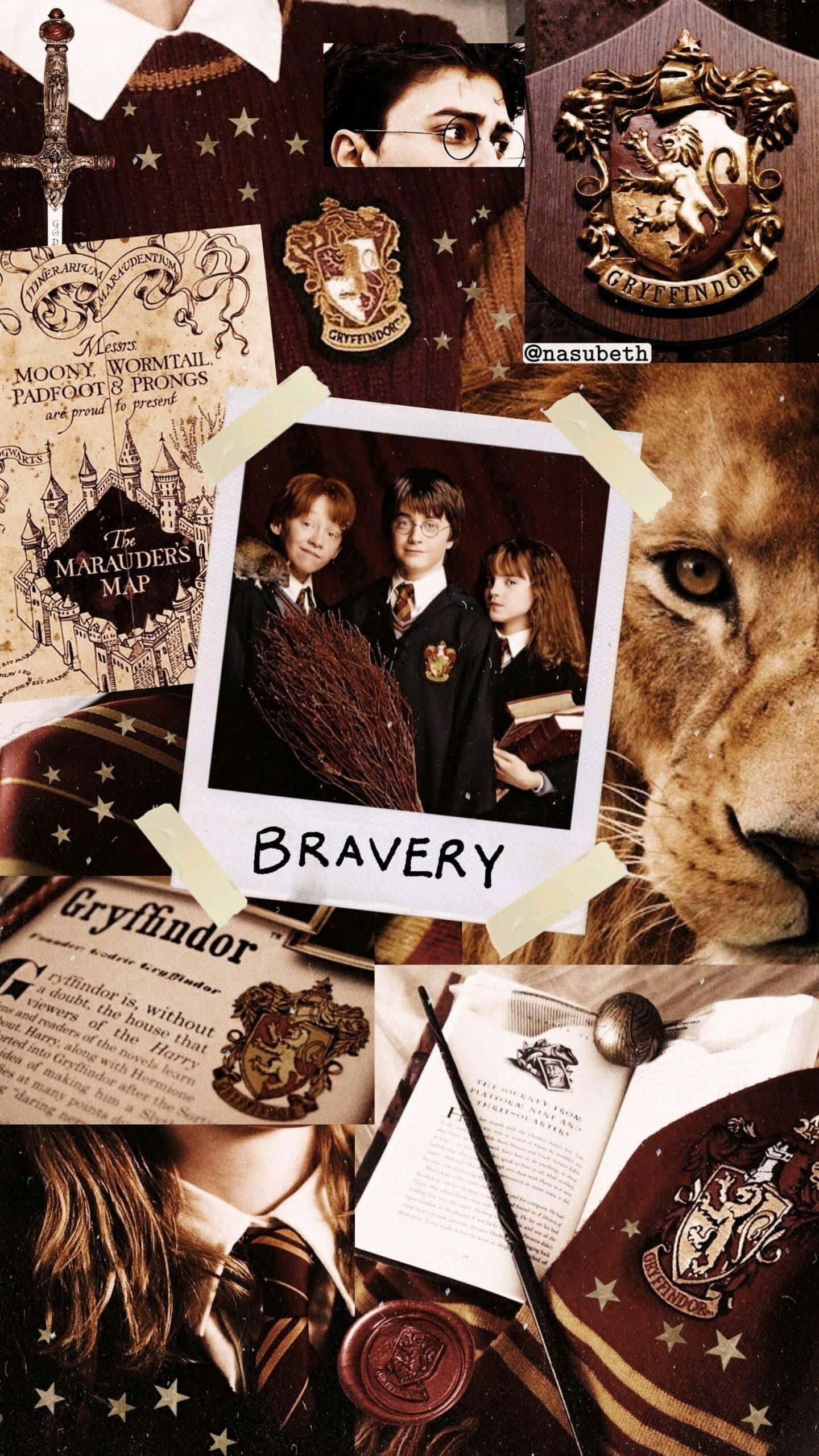 Universul Estetic Harry Potter Fundal