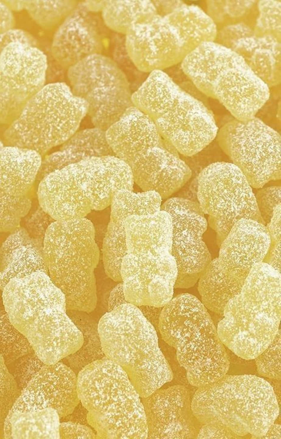 Ursuleți Gomosi Drăguți în Galben Pastel Fundal