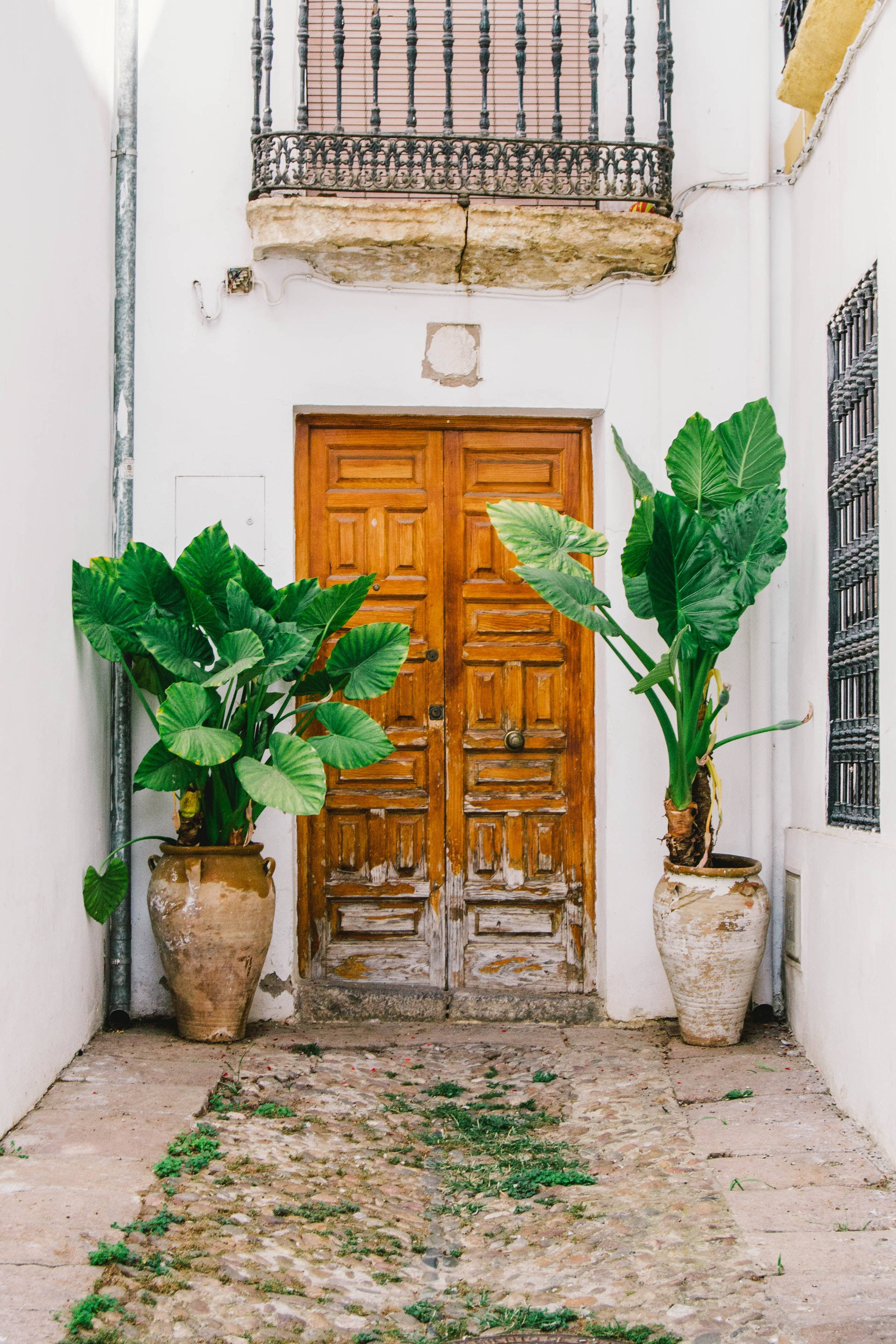 Ușă din lemn în stil spaniol cu jardiniere Fundal