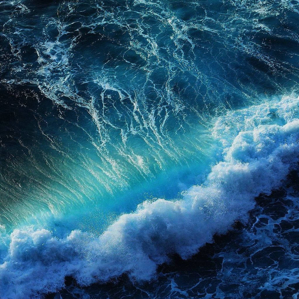 Val Ocean California iPad Mini Fundal