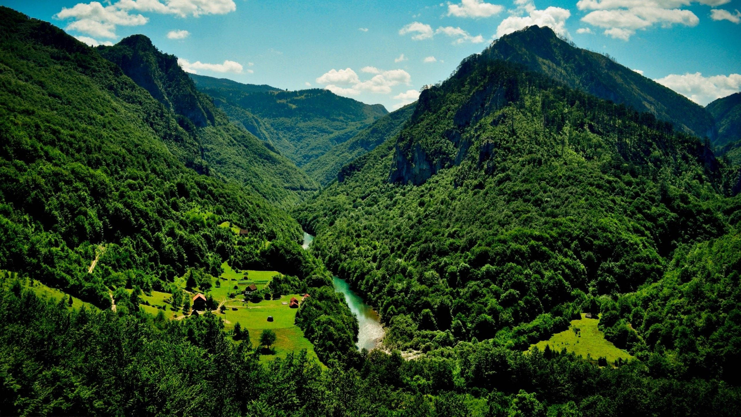 Vale Naturală 4K Fundal