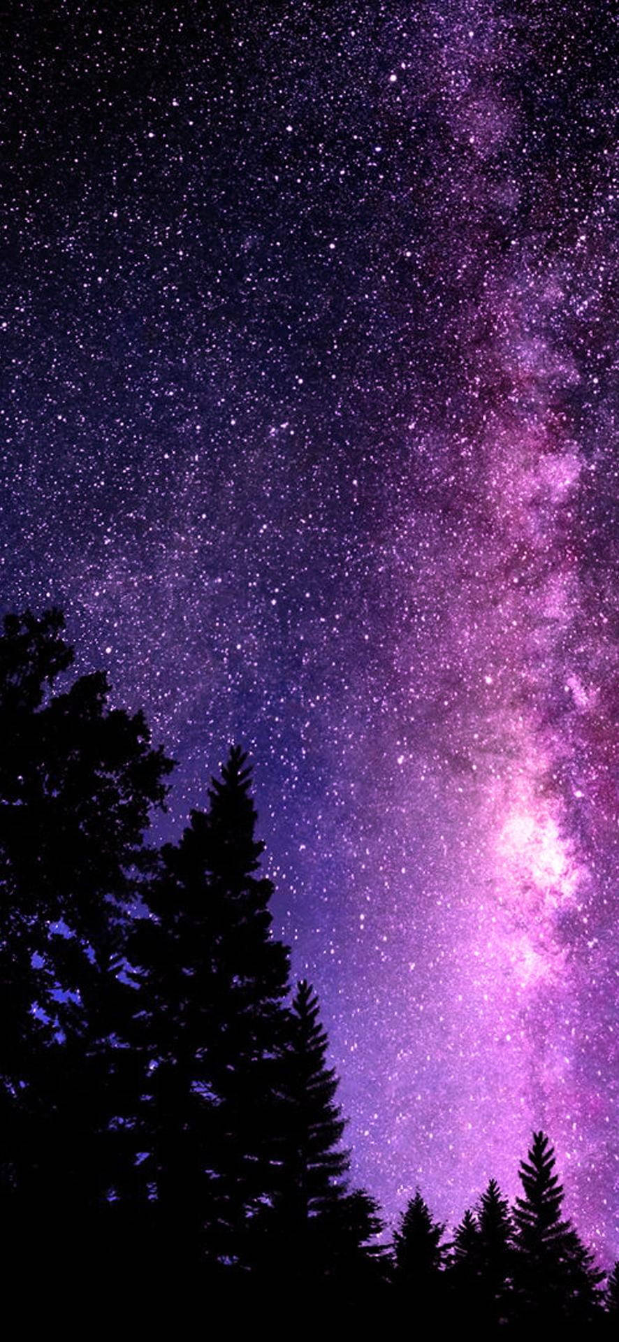 Vârfuri de copaci galaxie frumoasă Fundal