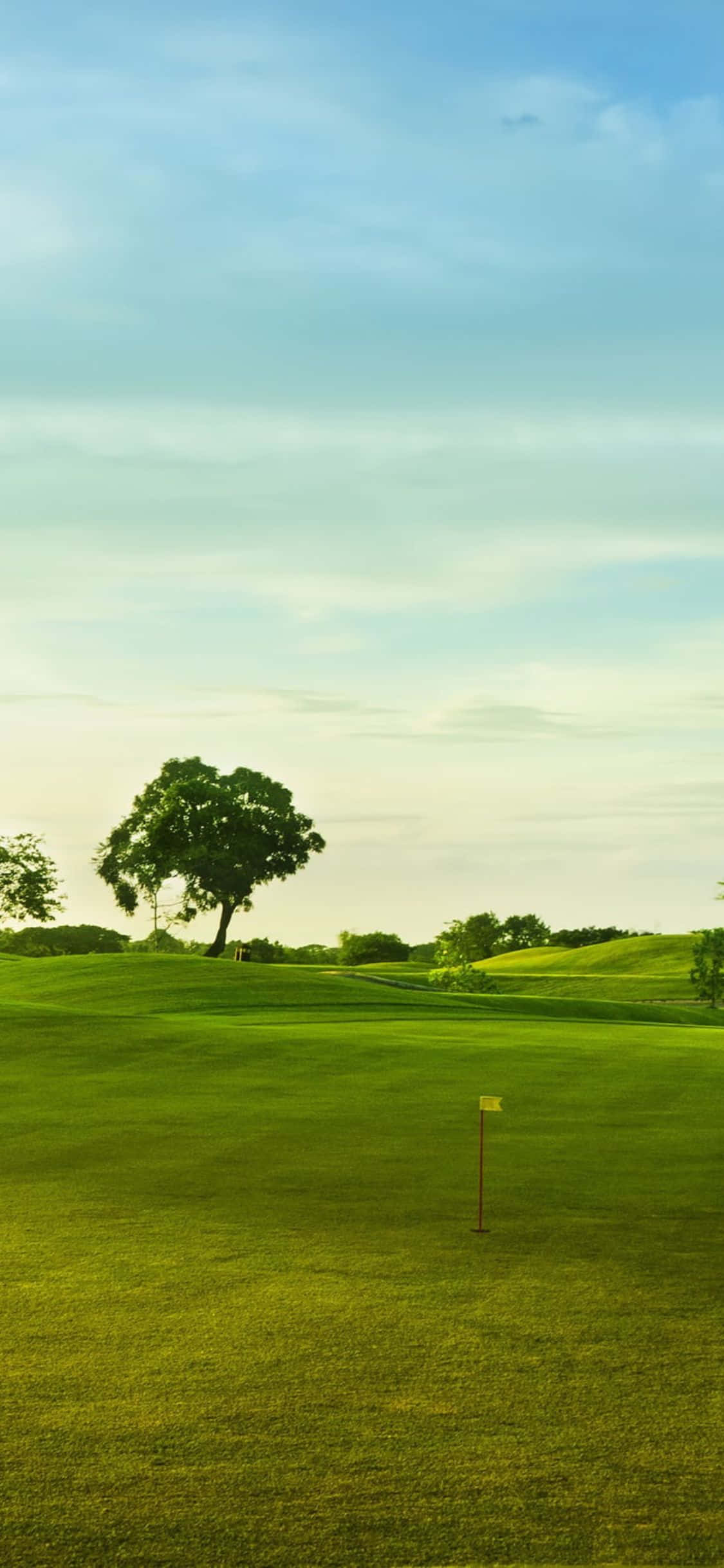 Vеdеrе sеrеnă a tеrеnului dе golf cu iPhonе X Fundal