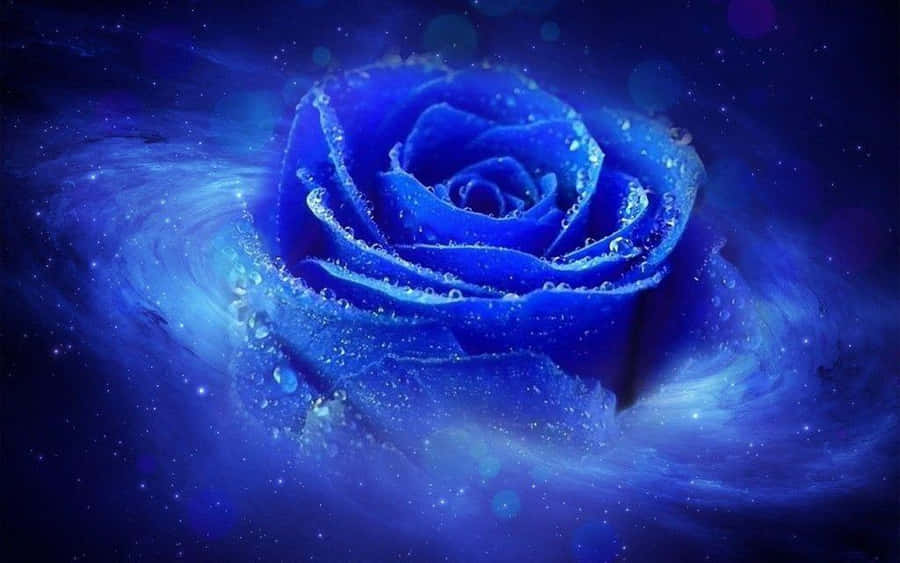 Vedere apropiată de un apus floral roz uluitor Fundal