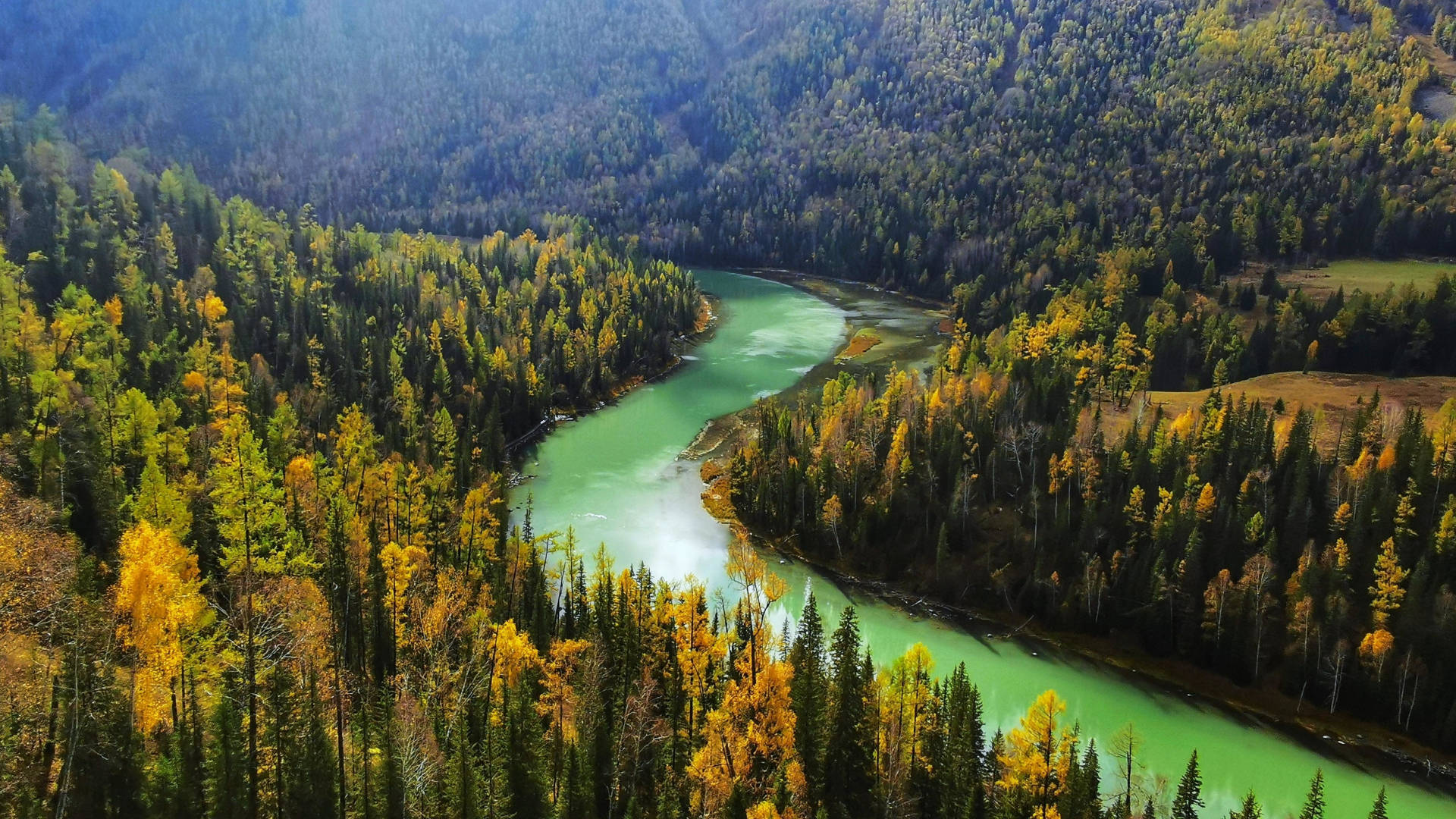 Vedere de pădure cu lac verde Fundal