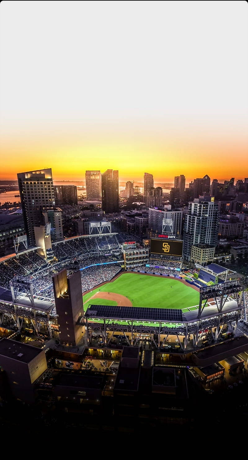Vedere de Pasăre a Stadionului San Diego Fundal