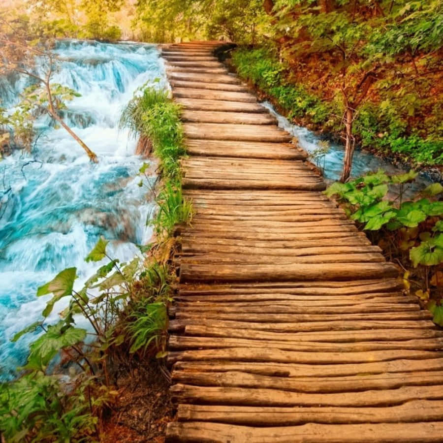 Vedere Impresionantă de Plajă la Apus Fundal