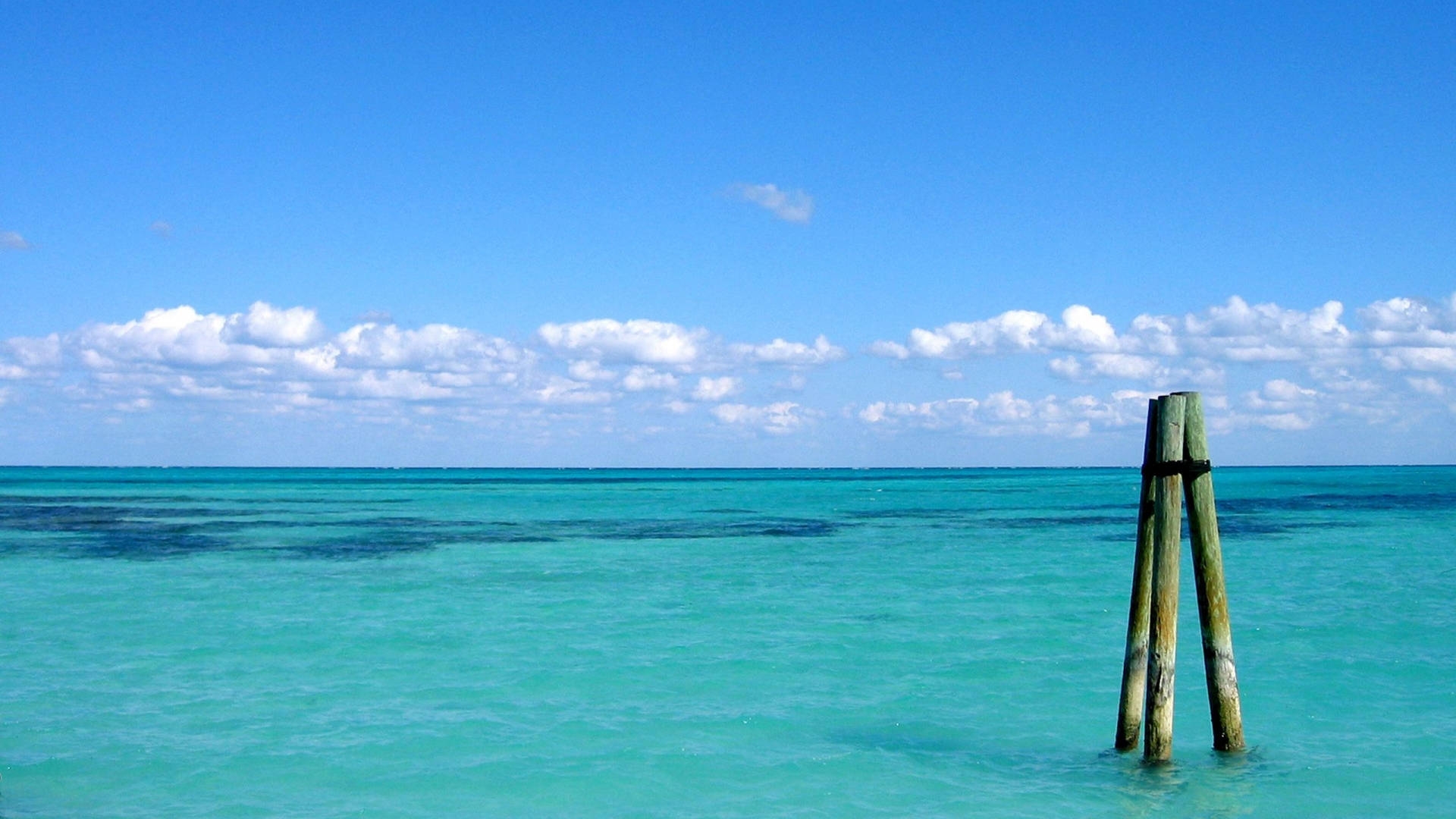 Vedere la Oceanul Bahamas Fundal