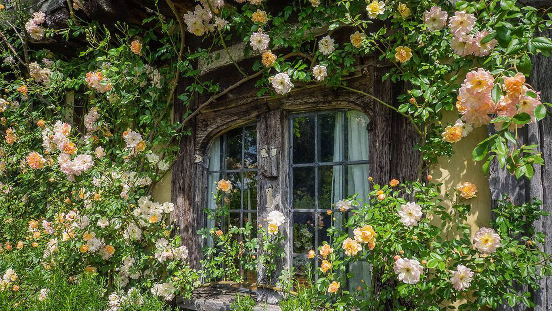 Vedere Linistita de Desktop in Stil Cottagecore Fundal