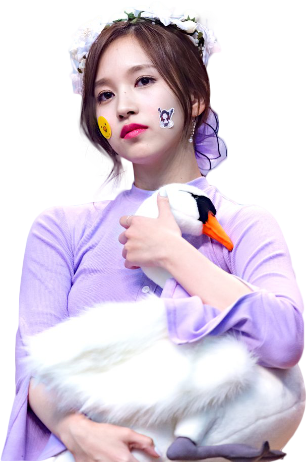 Vedetă Kpop cu lebădă de pluș Fundal