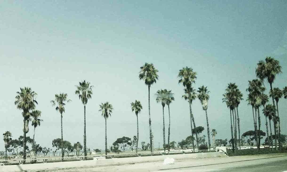 Vedeta Majestuoasă a Coastei Californiei Fundal