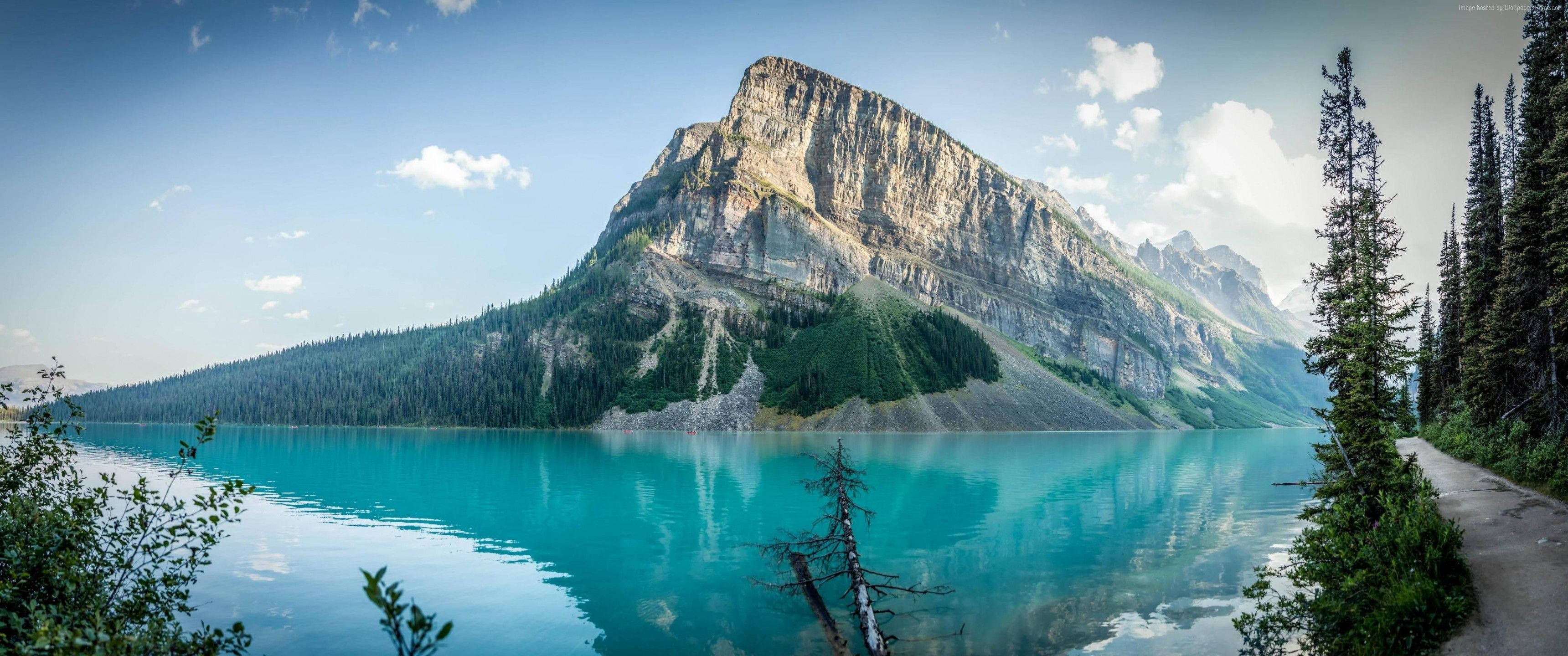 Vedetă splendidă a Muntelui Alberta în rezoluție 3440x1440 Fundal