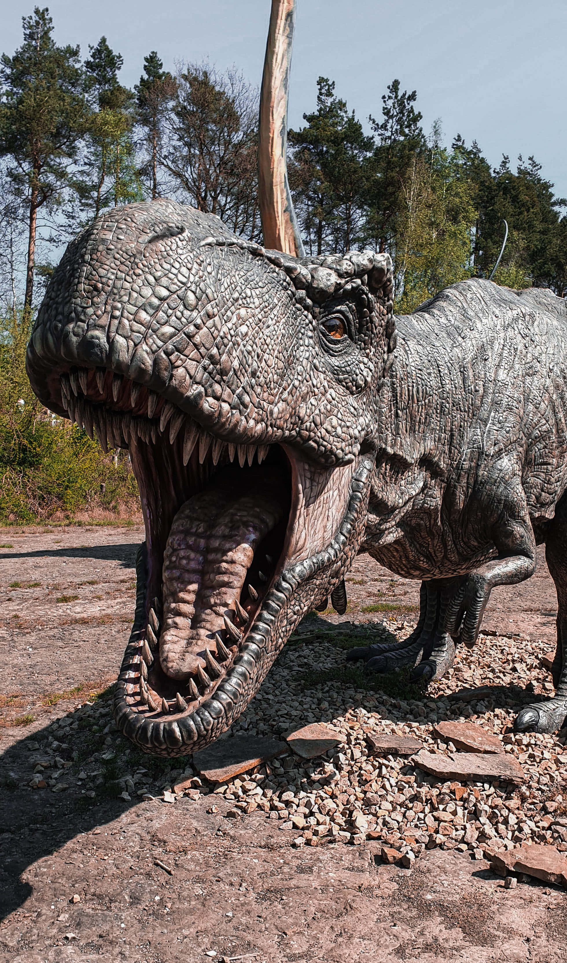 Vedete Grandioasă a unui Brachiosaurus Majestic Fundal
