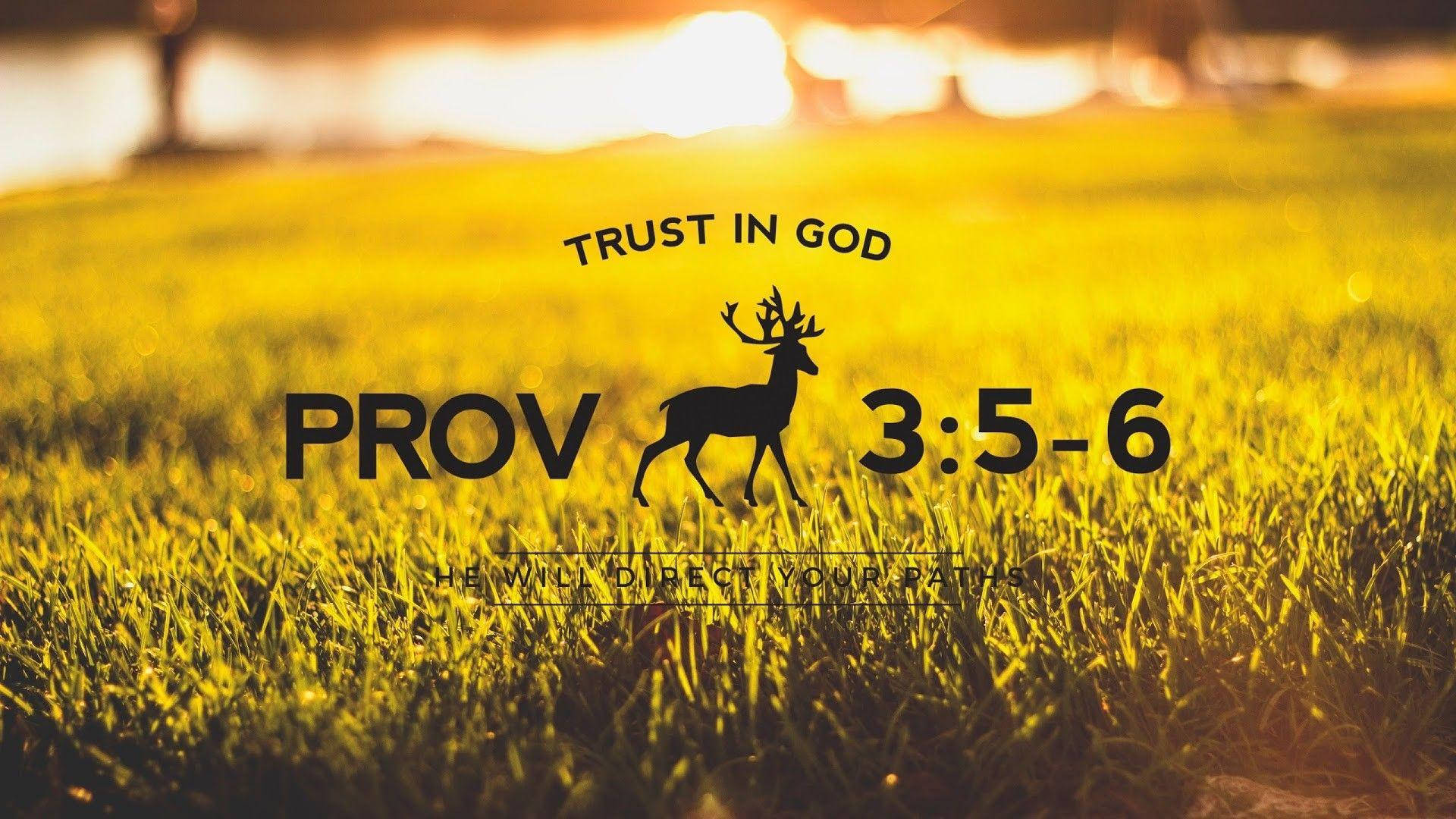 Versete Biblice Estetice din Proverbe Fundal