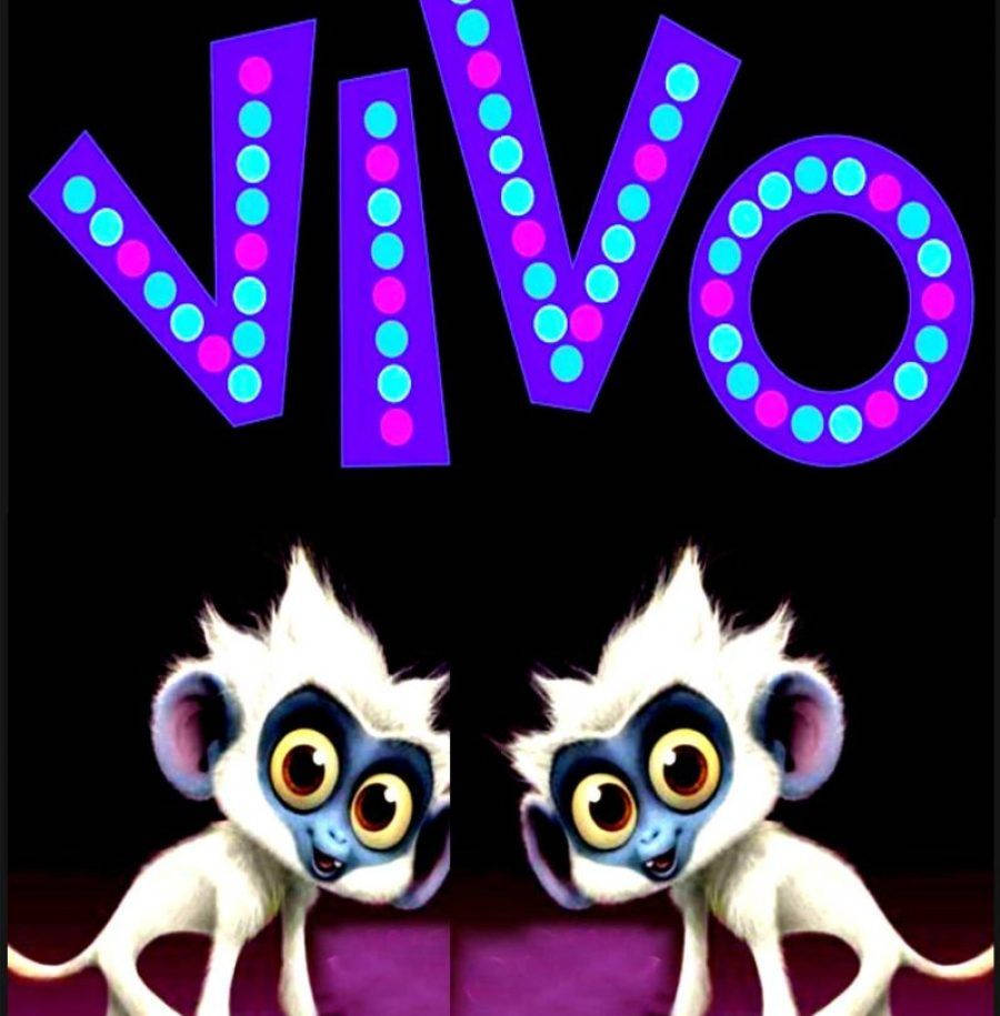 Vivo Film 2021 Fundal