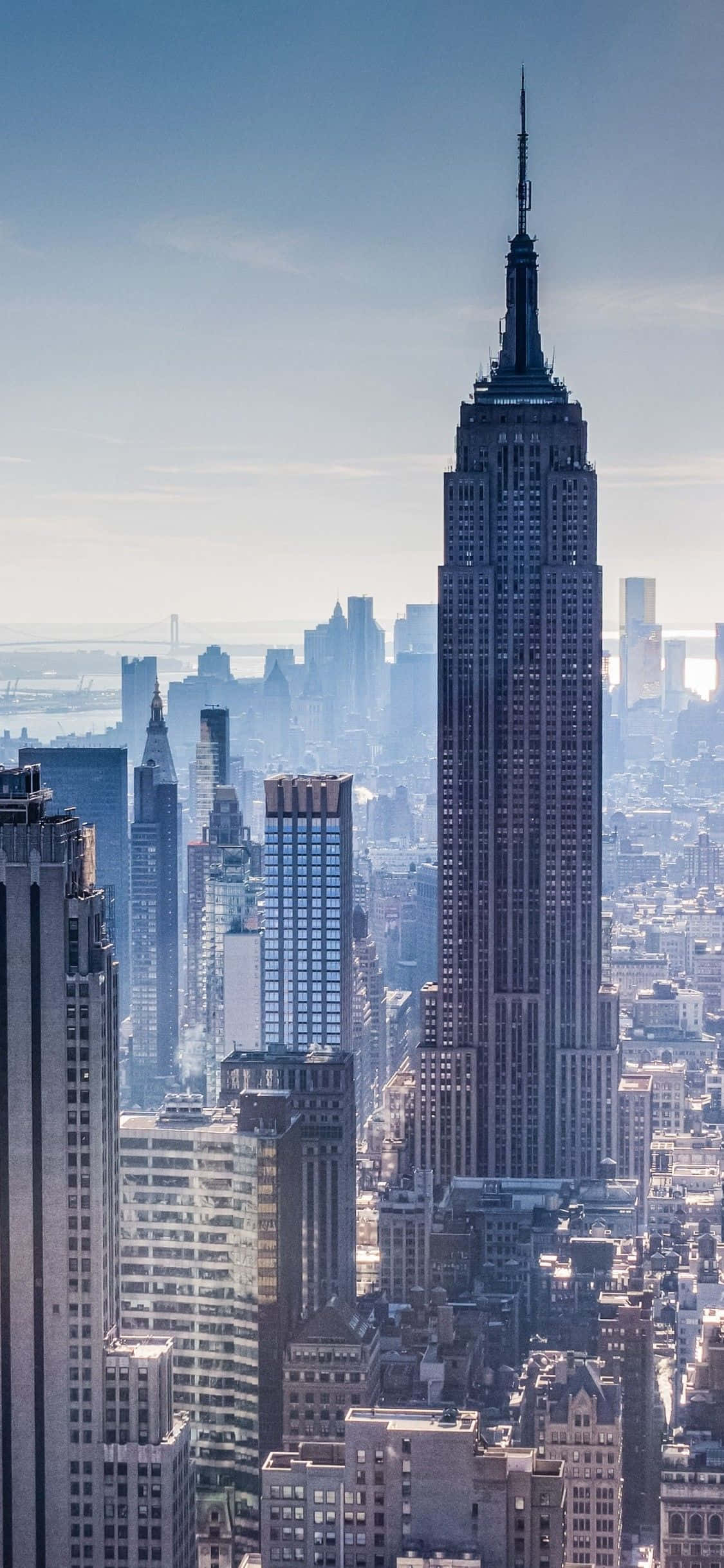 Vizitând Marele Măr - New York City Fundal