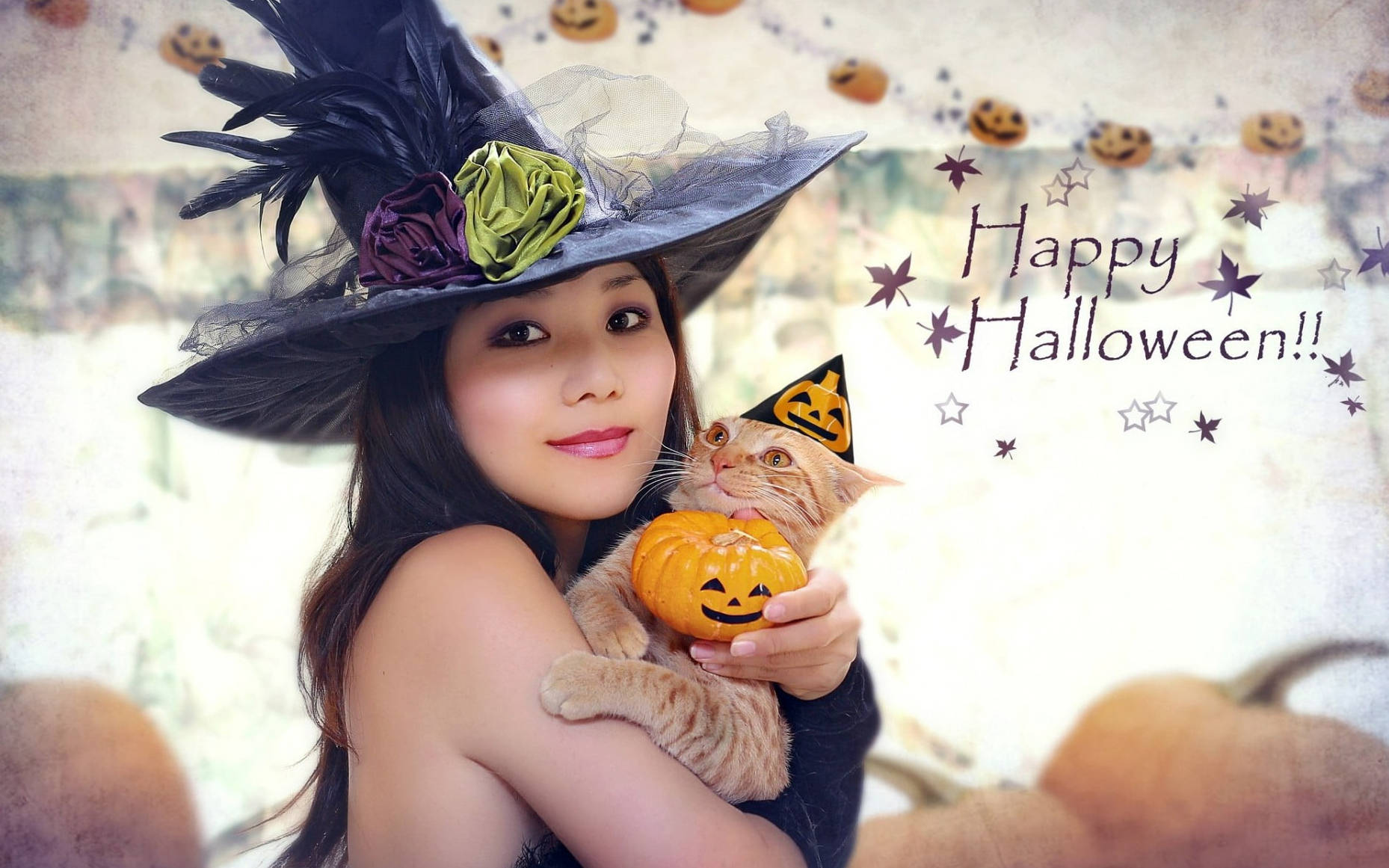 Vrăjitoare drăguță de Halloween cu pisică Fundal