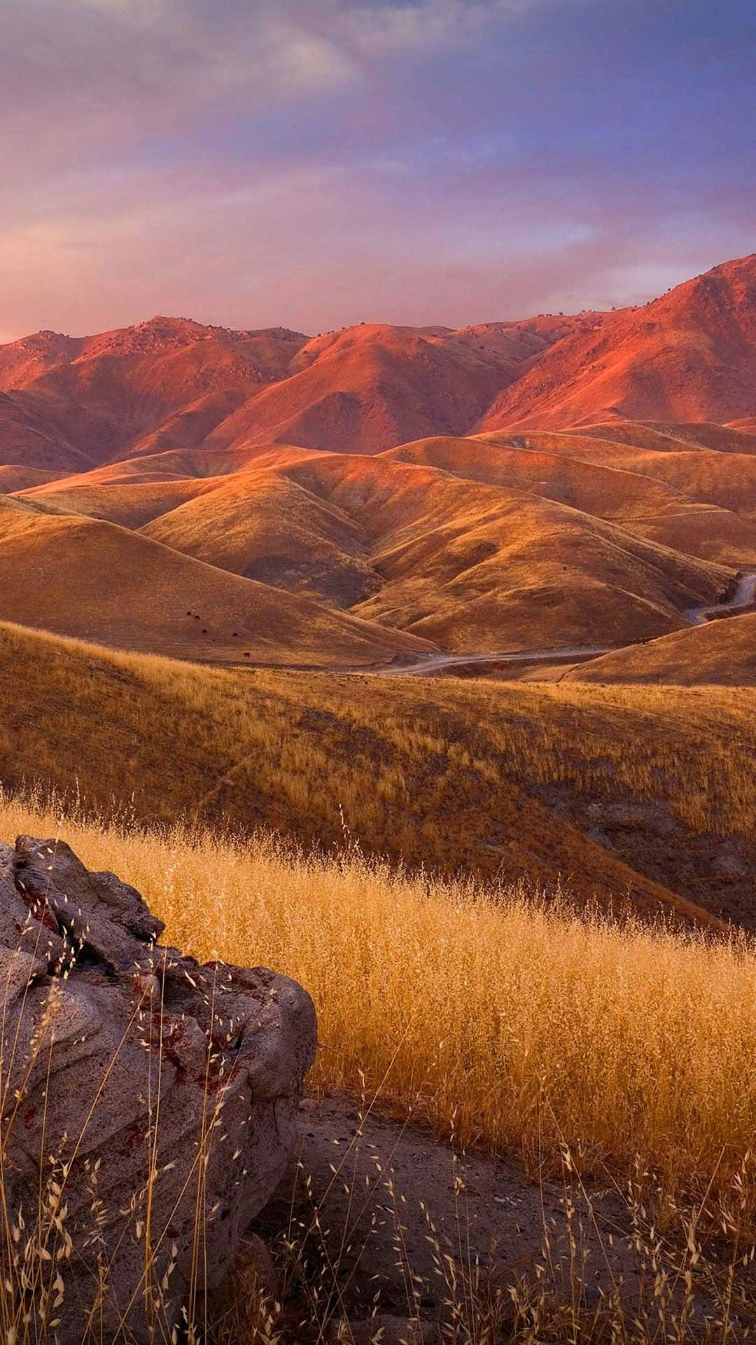 Xiaomi Smartphone cu fundal inspirat de natură Fundal