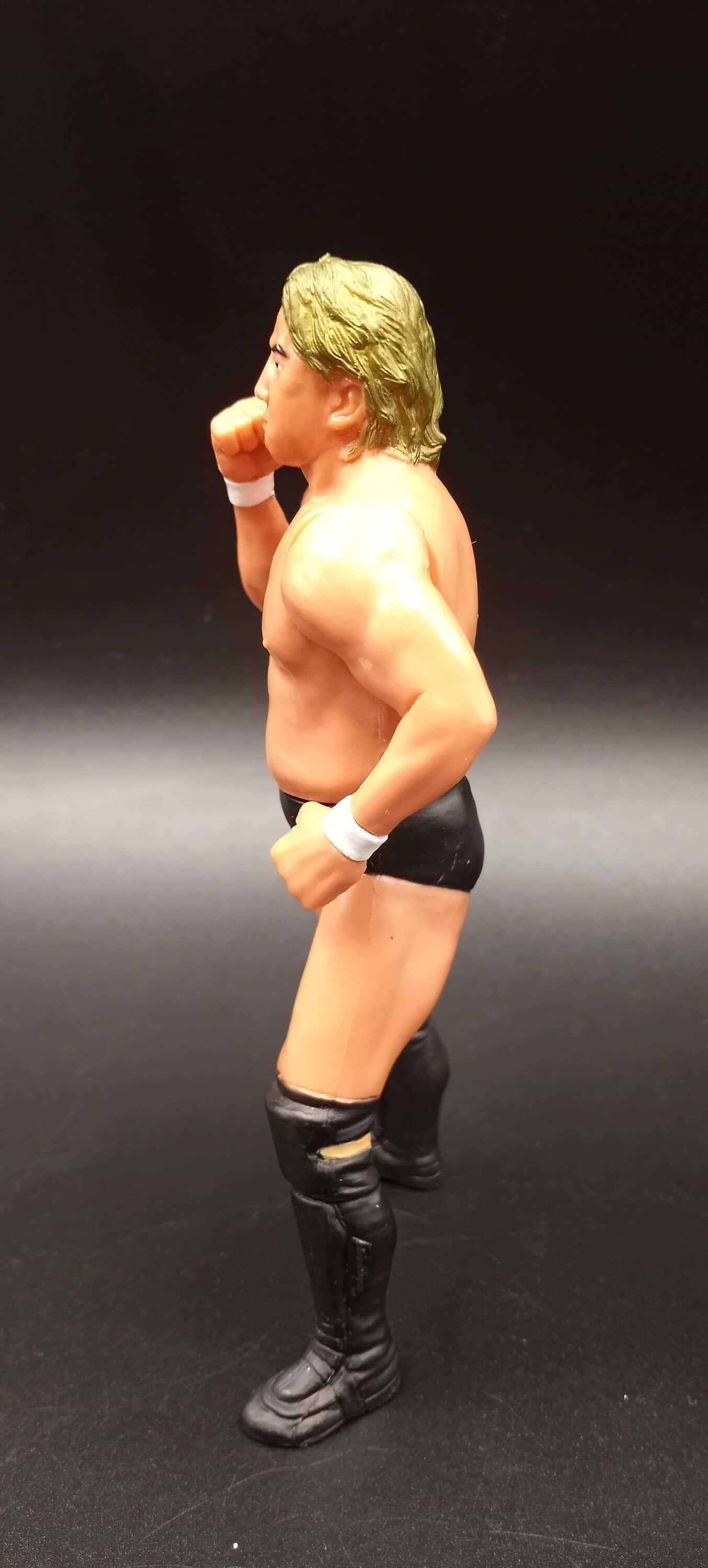 Yoshihiro Takayama Statuie Profil Lateral Fundal