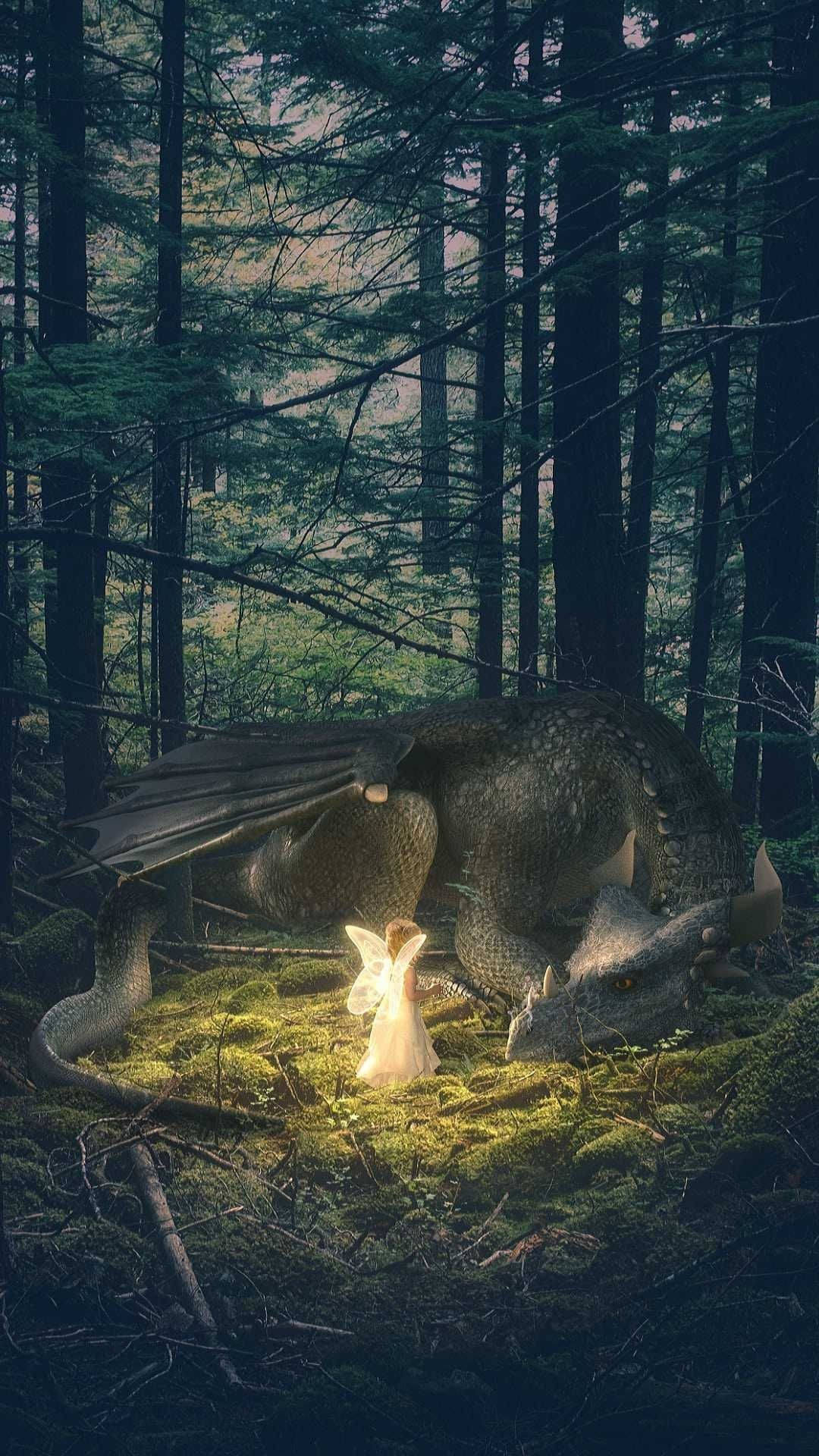 Zâna estetică și dragonul Fundal