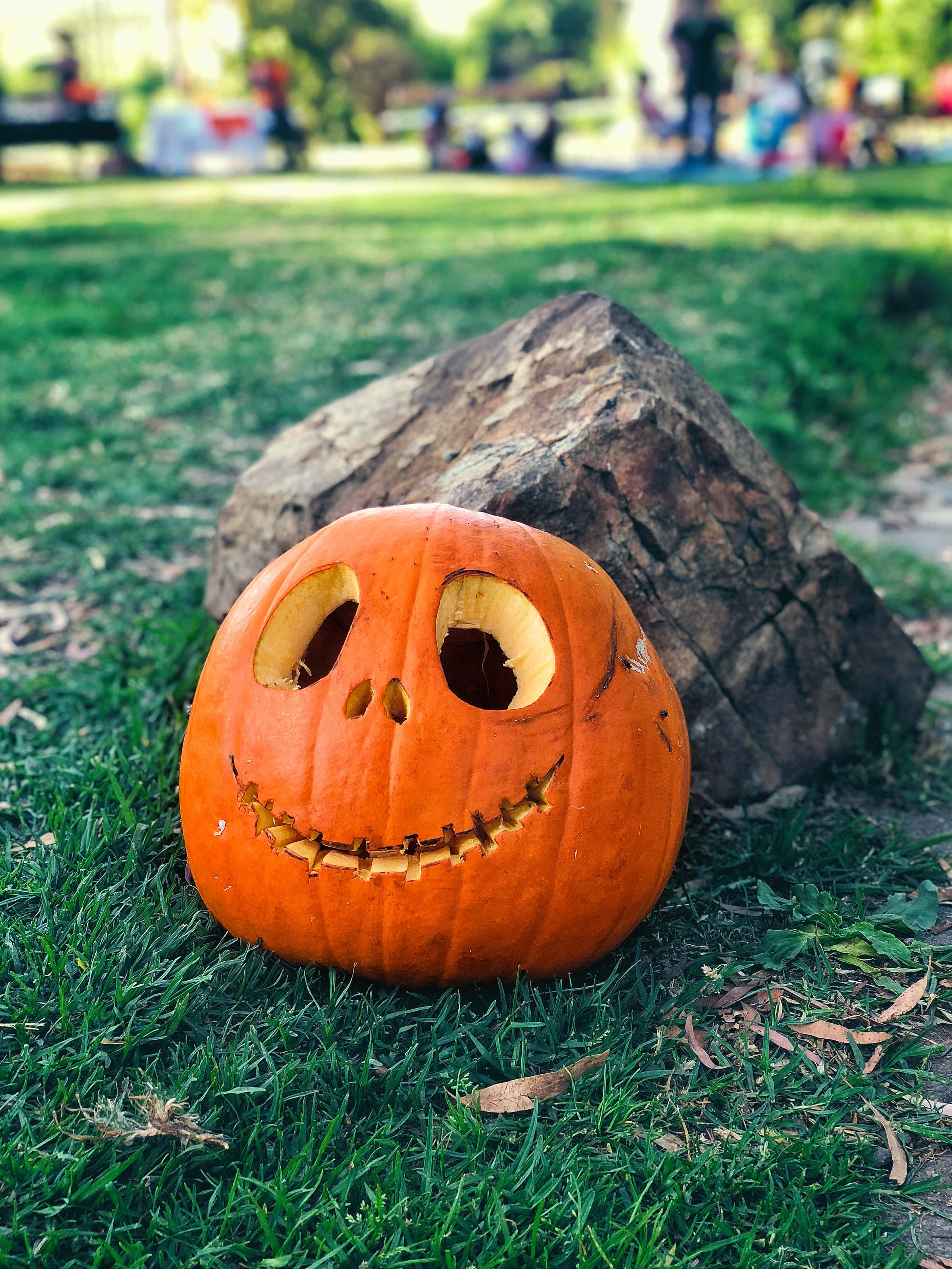 Zbârnâitul Jack-O-Lantern cu Rezoluție Înaltă Fundal de Halloween Fundal