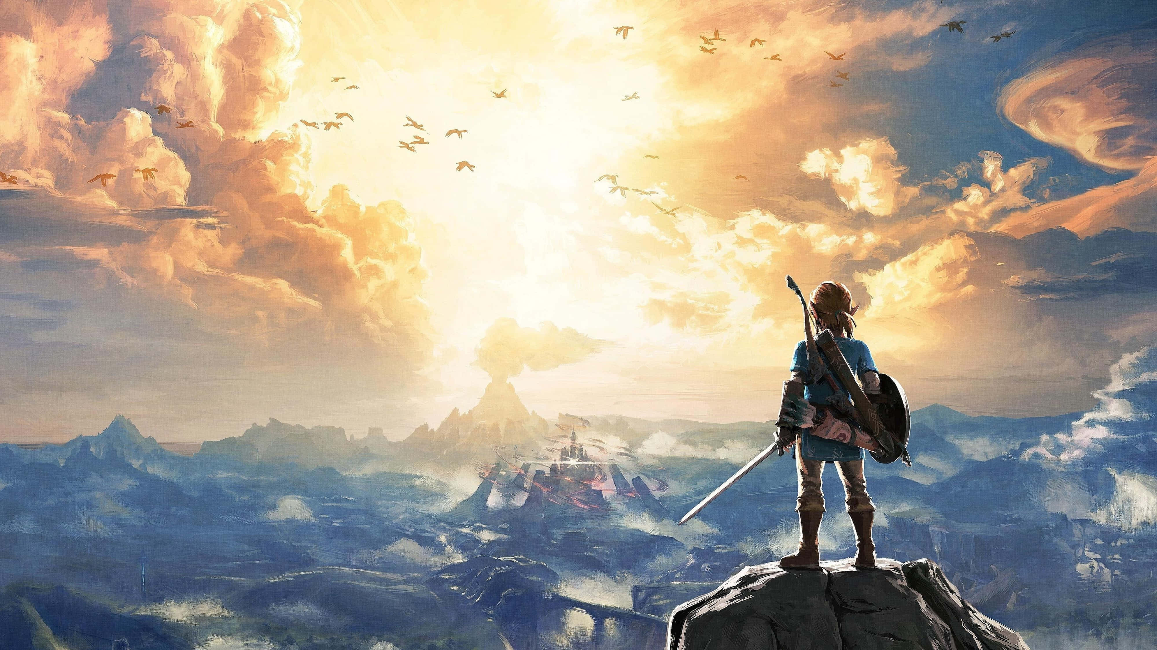 Zelda Breath Of The Wild 4K Link privind spre cer Fundal