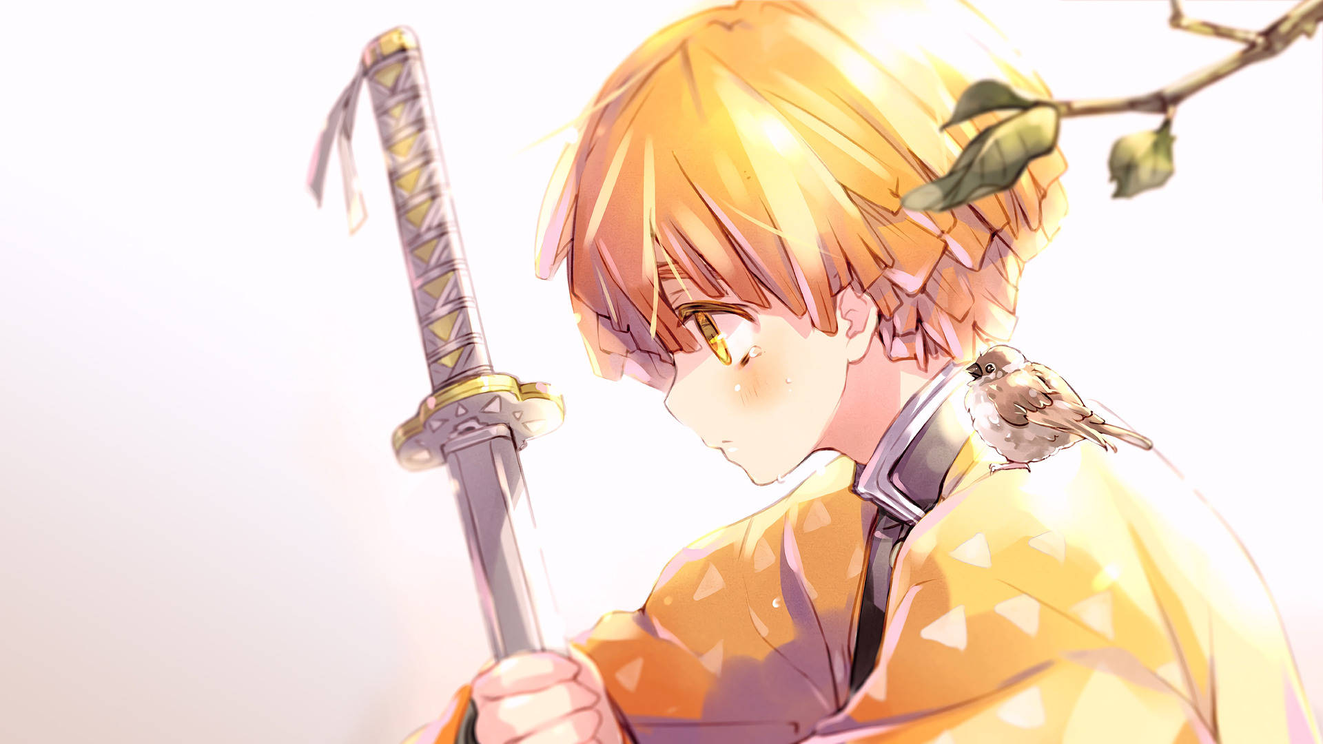 Zenitsu din Demon Slayer în lumina soarelui Fundal