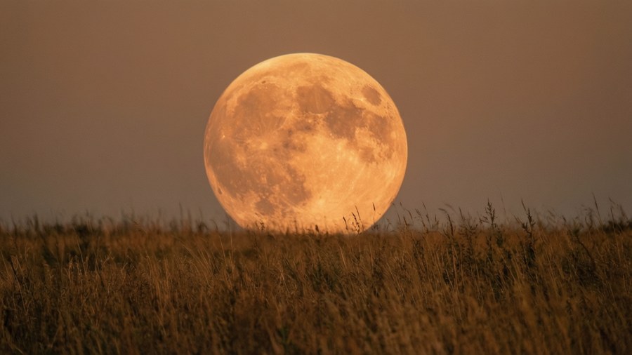 O lună plină portocalie a aruncat o strălucire caldă peste un câmp de iarbă uscată.