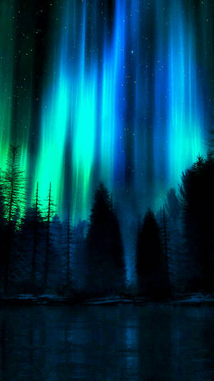 4K Android Northern Lights întunecate — Pădure întunecată Fundal