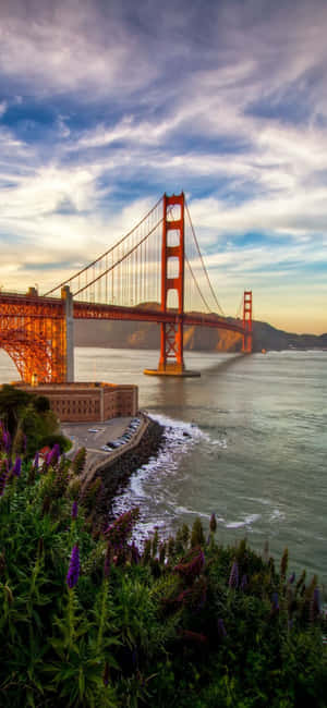 Fundal California iPhone X — POCO F7 Ultra Fundal