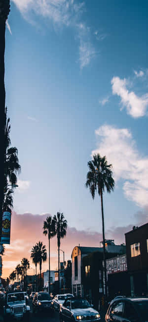 Fundal California iPhone X — Galaxy F Fundal