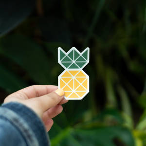 Fond de ecran cu un adeziv geometric cu ananas ținut de o doamnă — 1:1 Fundal