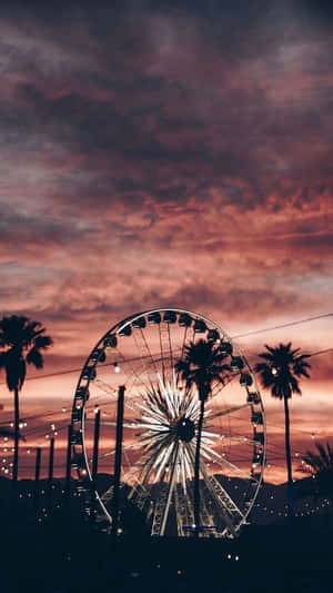 Vara Californiană — Cald Fundal