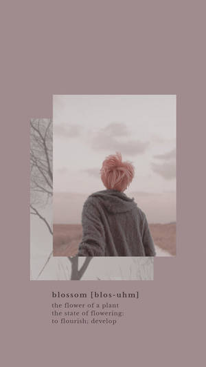 Aesthetic BTS Jimin Floare de Cireș — Estetic bts Fundal